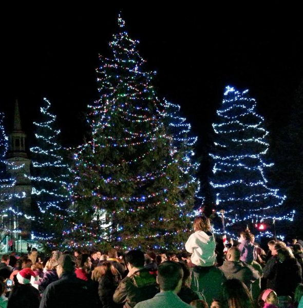 Northborough Annual Tree Lighting Ceremony » The Northborough Guide