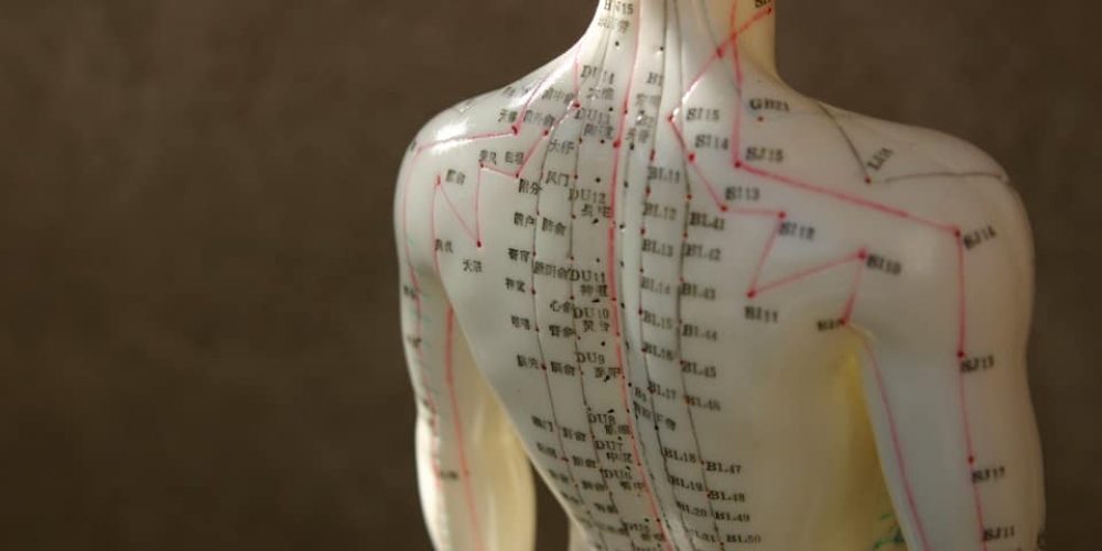 Learn the Basics of Acupuncture