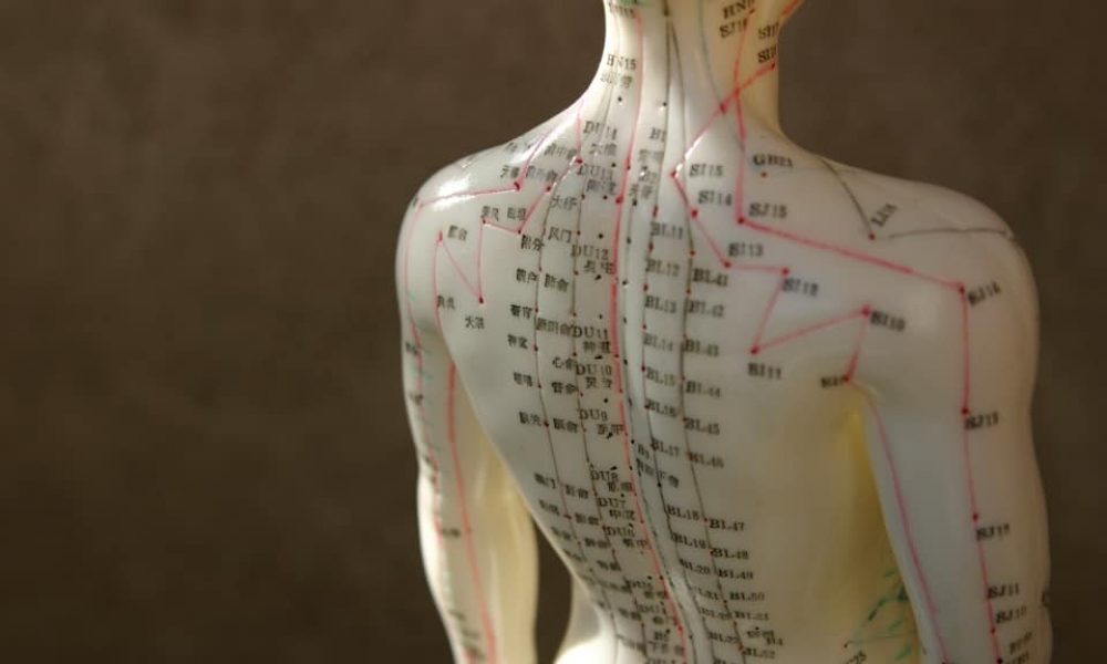 Learn the Basics of Acupuncture