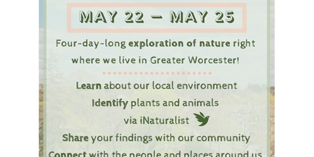 Worcester Nature Challenge