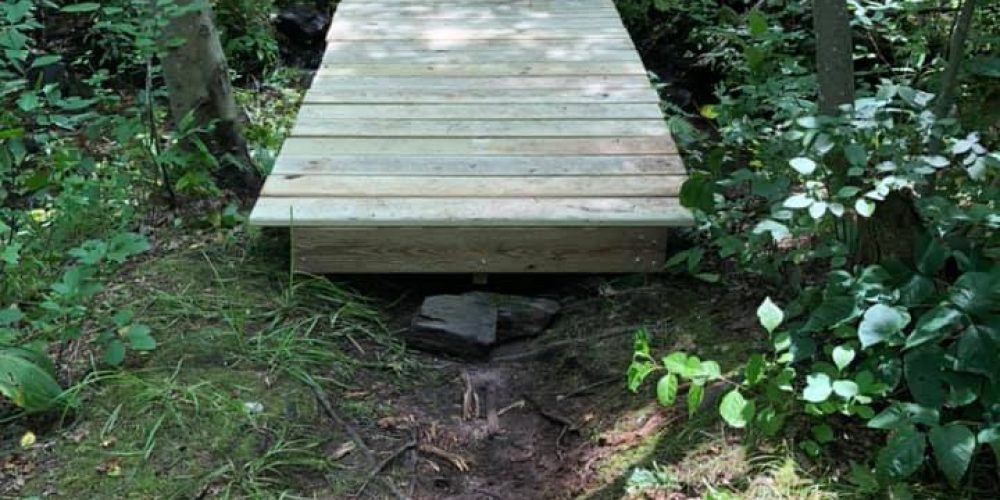 Two Eagle Scout projects improve Stirrup Brook Trail