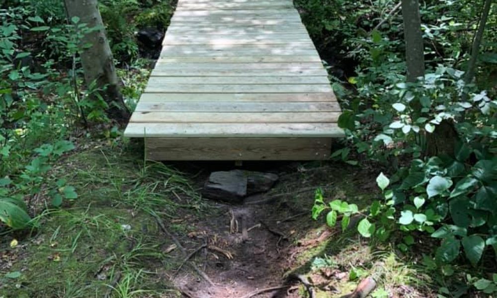 Two Eagle Scout projects improve Stirrup Brook Trail