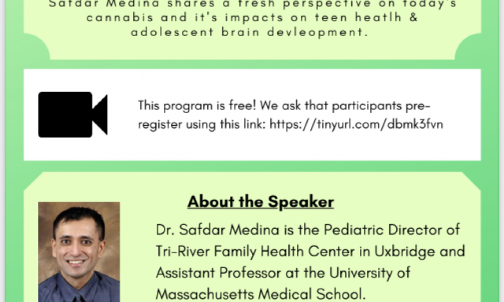 Cannabis and the Teen Brain virtual workshop