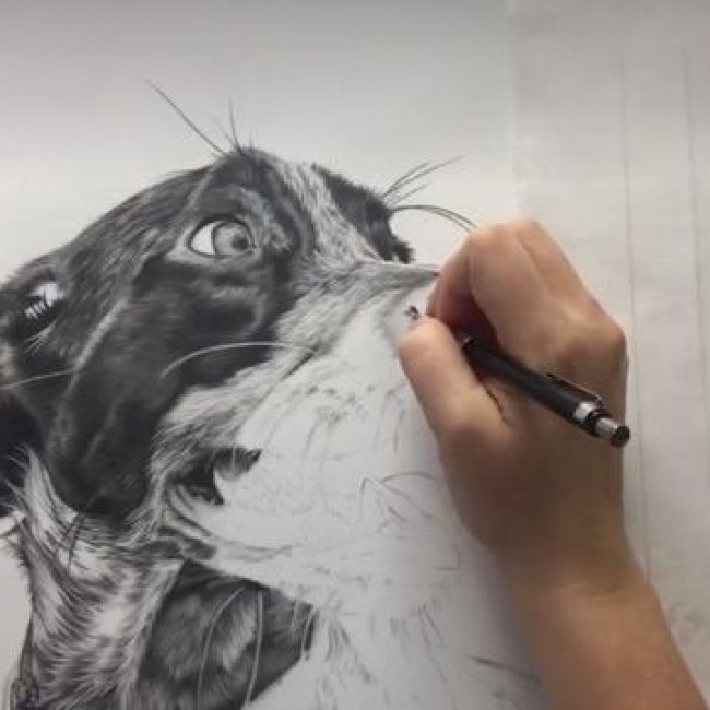 Graphite on Drafting Film | Leah Davis