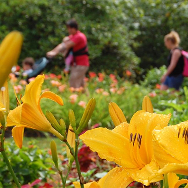 Free Fun Friday at Tower Hill Botanic Garden