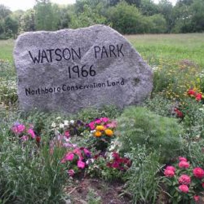 Native Plant Garden Tour