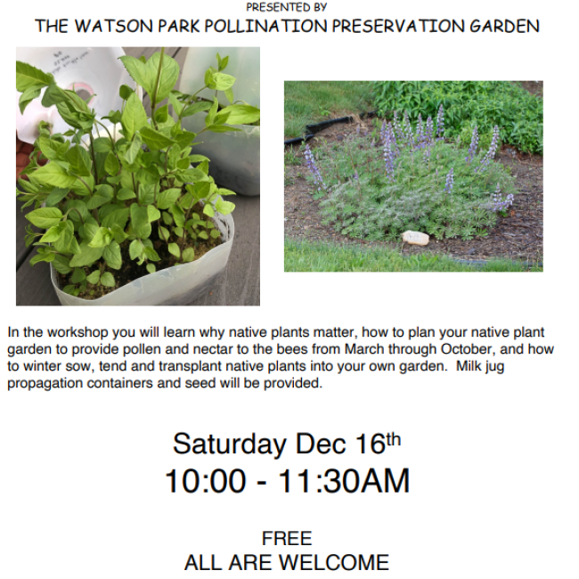 Native Plant Winter Sow Workshop