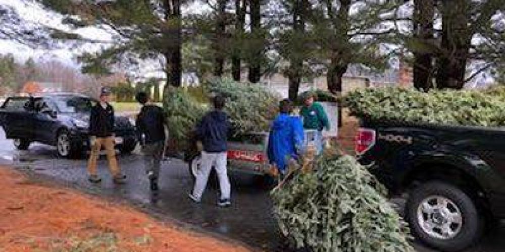 BSA Troop 101 Christmas tree pick up date announced