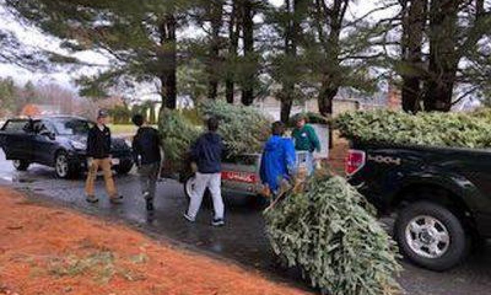 BSA Troop 101 Christmas tree pick up date announced