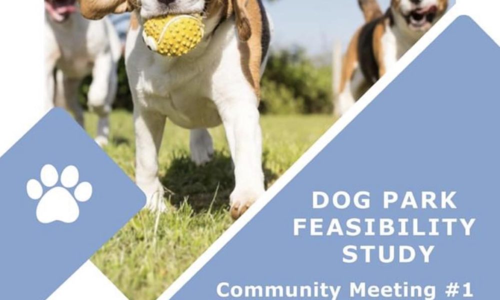 Town dog park planning needs public feedback