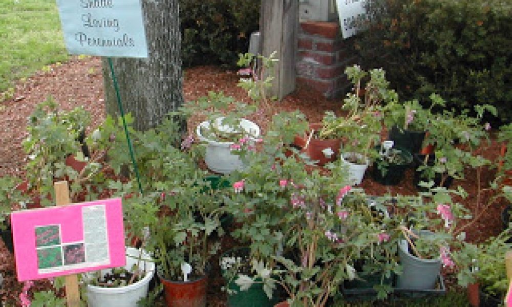 Northborough Garden Club Plant Sale