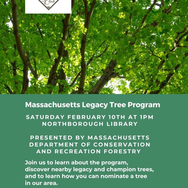 Massachusetts Legacy Tree Program