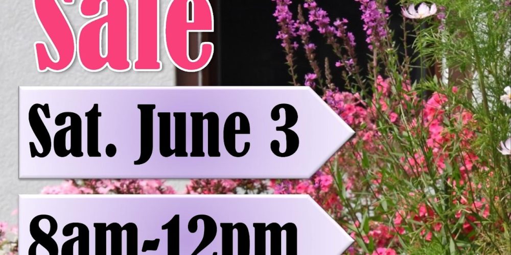 Plant donations needed for annual plant sale