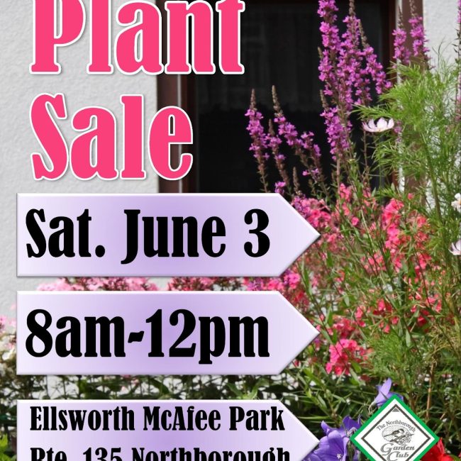 Garden Club Plant Sale