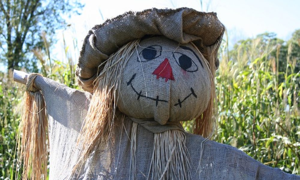 Rec Department hosts Build-a-Scarecrow Day