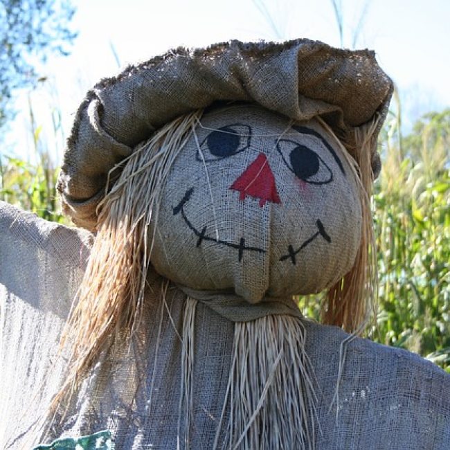 Build-a-Scarecrow Day