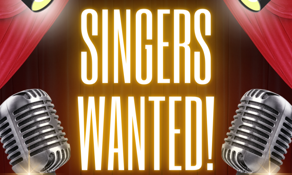 Rockin’ the Boroughs is looking for “old (but young at heart)” singers!