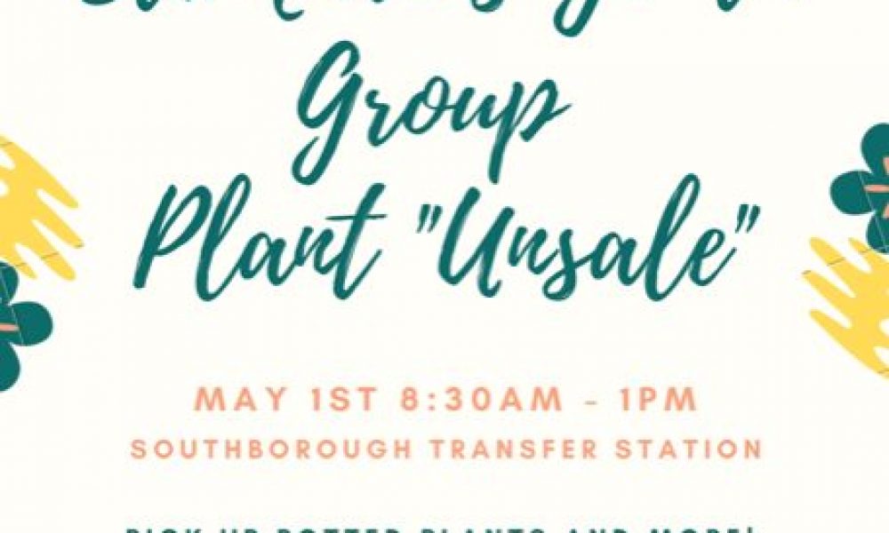 Plant Sale to benefit youth mission trip