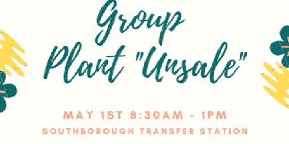 Plant Sale to benefit youth mission trip