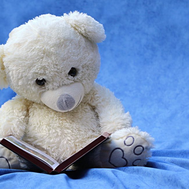 Stuffed Animal Sleepover at Northborough Library