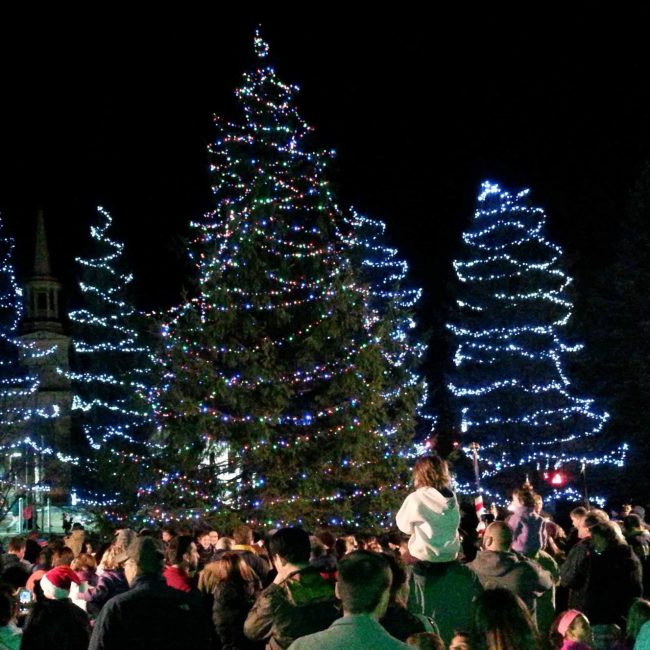 Northborough Annual Tree Lighting Ceremony