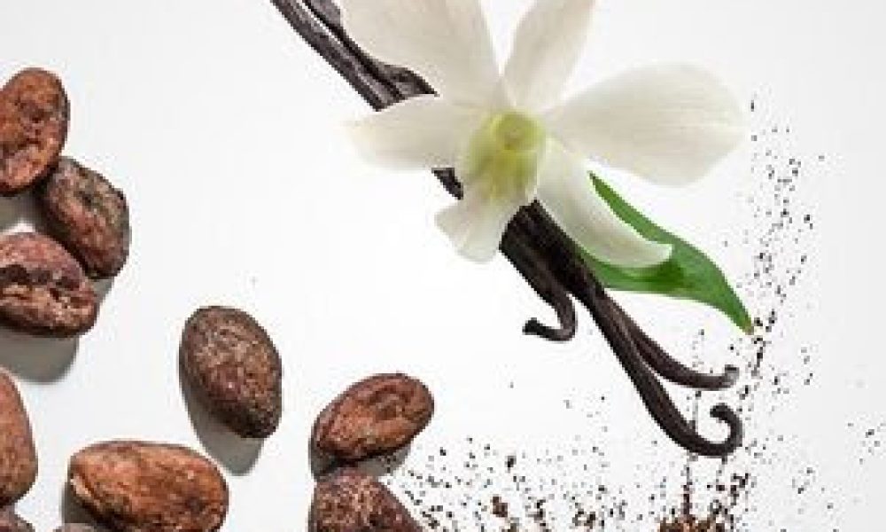 Garden Club hosts ‘Chocolate and Vanilla’ presentation