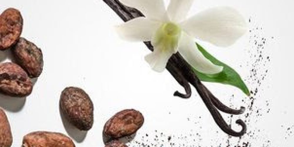 Garden Club hosts ‘Chocolate and Vanilla’ presentation