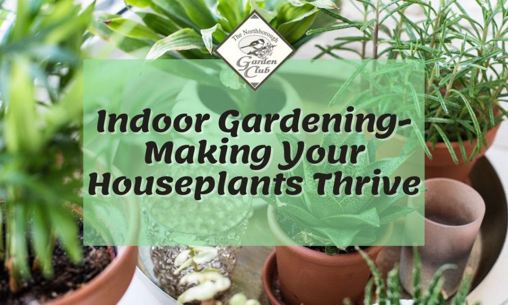 Garden Club hosts speaker on growing houseplants