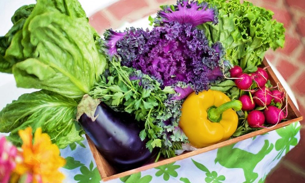Tips for Cooking from Your Vegetable Garden