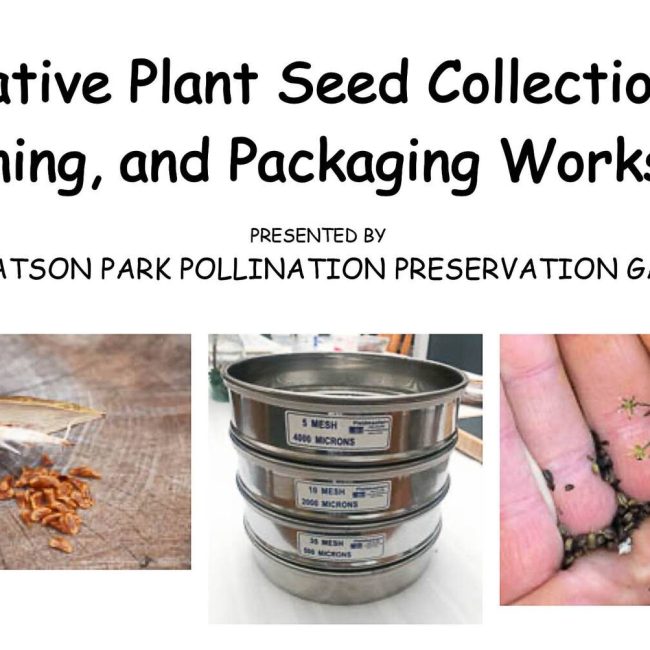 Native Plant Seed Collection, Cleaning, and Packaging Workshop